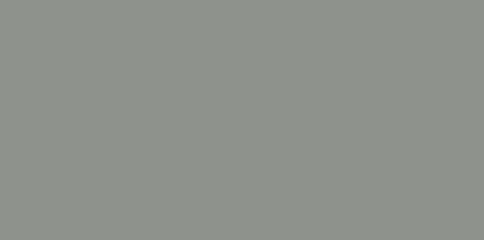 Light Gray light gray color chip