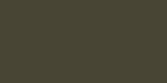 koala brown